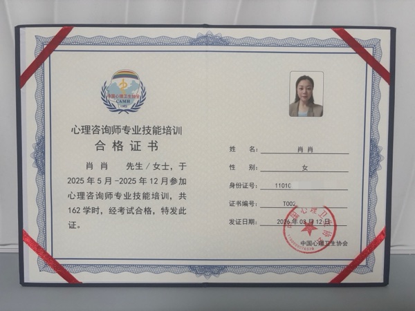 资质 2